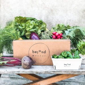 beyond_Box von beyond_Mosauf