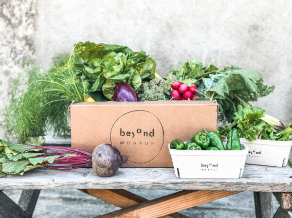 beyond_Box von beyond_Mosauf