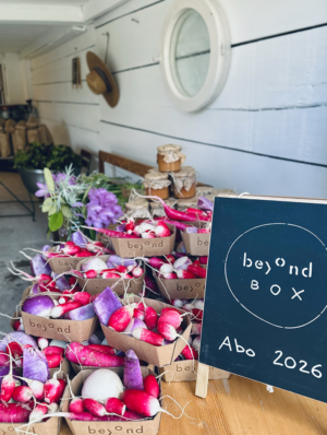 beyond_Box Gemüsebuffet
